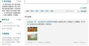 宾阳实时最新新闻爆料  第1张